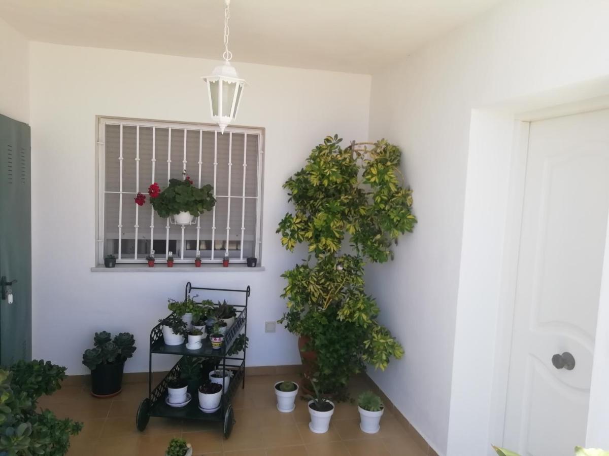 Las Gemelas De Terreros 1 San Juan de los Terreros Dış mekan fotoğraf