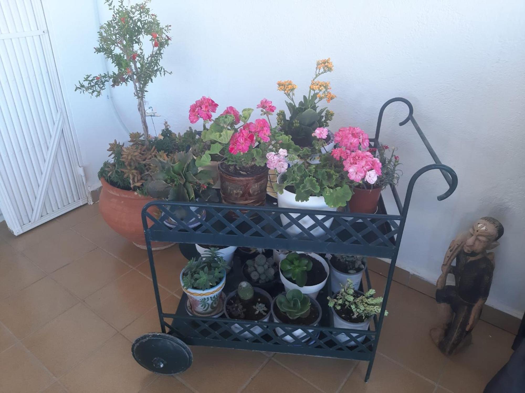 Las Gemelas De Terreros 1 San Juan de los Terreros Dış mekan fotoğraf