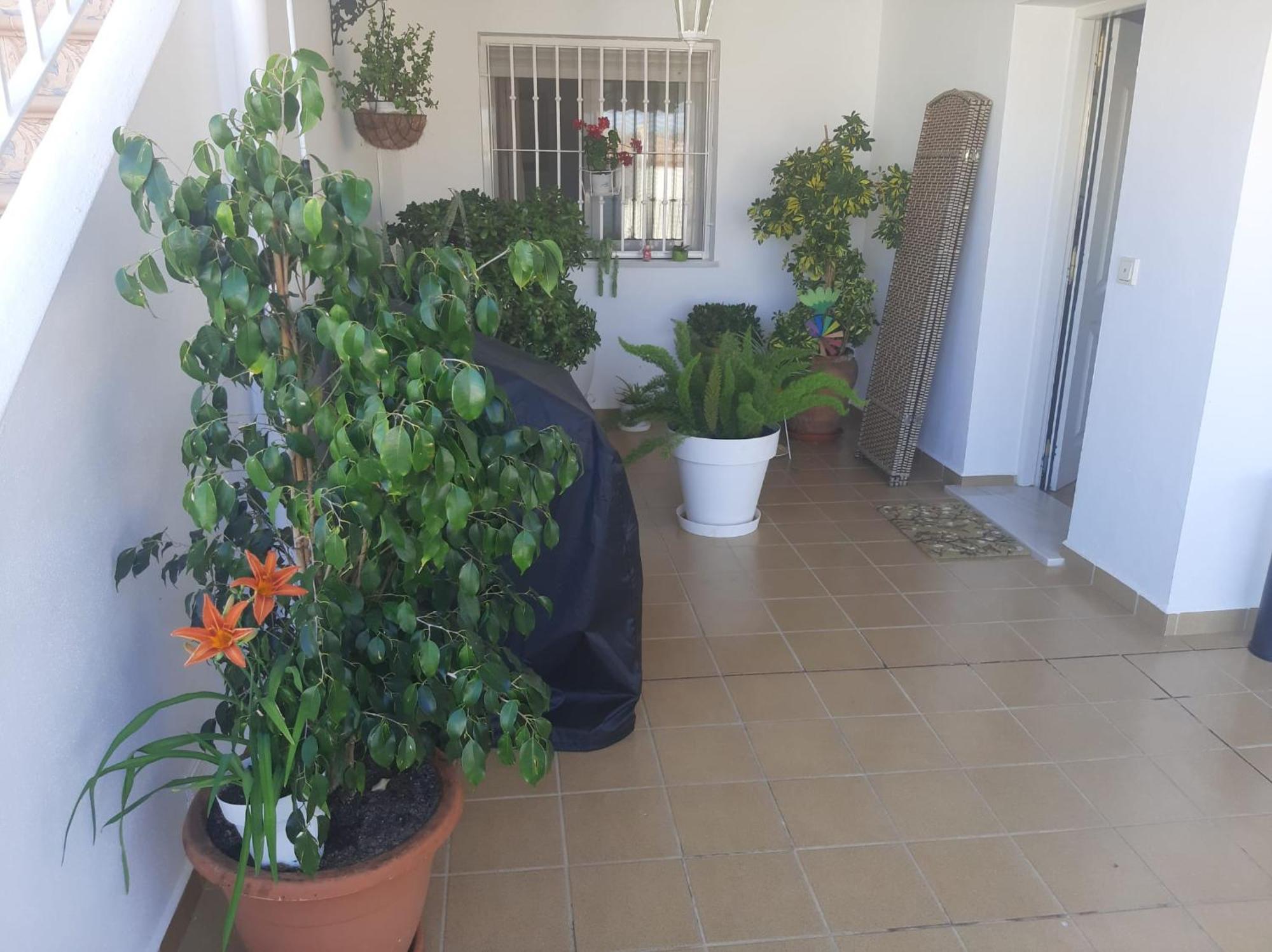 Las Gemelas De Terreros 1 San Juan de los Terreros Dış mekan fotoğraf